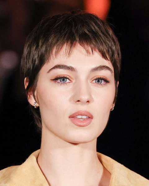 Closeup shot of a model with a refined pixie